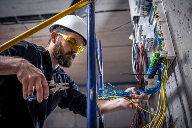 Best Electric Panel Repair  in Woodville, TX